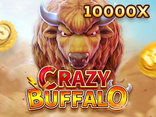 FC CRAZY BUFFALO